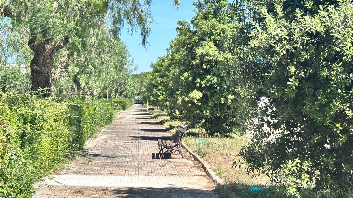 Foto 8